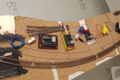 IMG_20240323_124659a